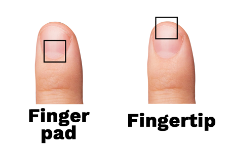Fingertip vs fingerpad